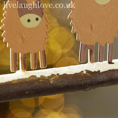 Highland Coos In Hats - LIVE LAUGH LOVE LIMITED