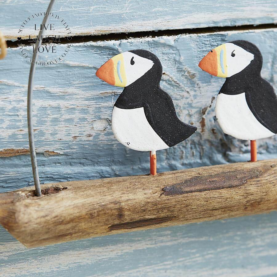 Just Puffin In The Sun - LIVE LAUGH LOVE LIMITED