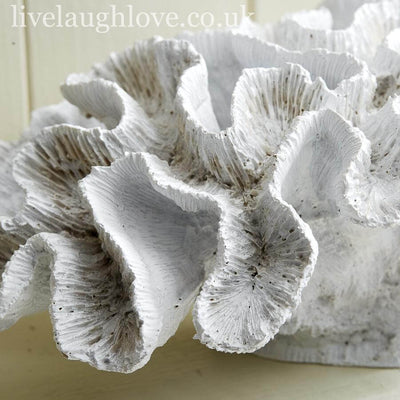 Large Painted Resin Cat's Paw Coral - LIVE LAUGH LOVE LIMITED