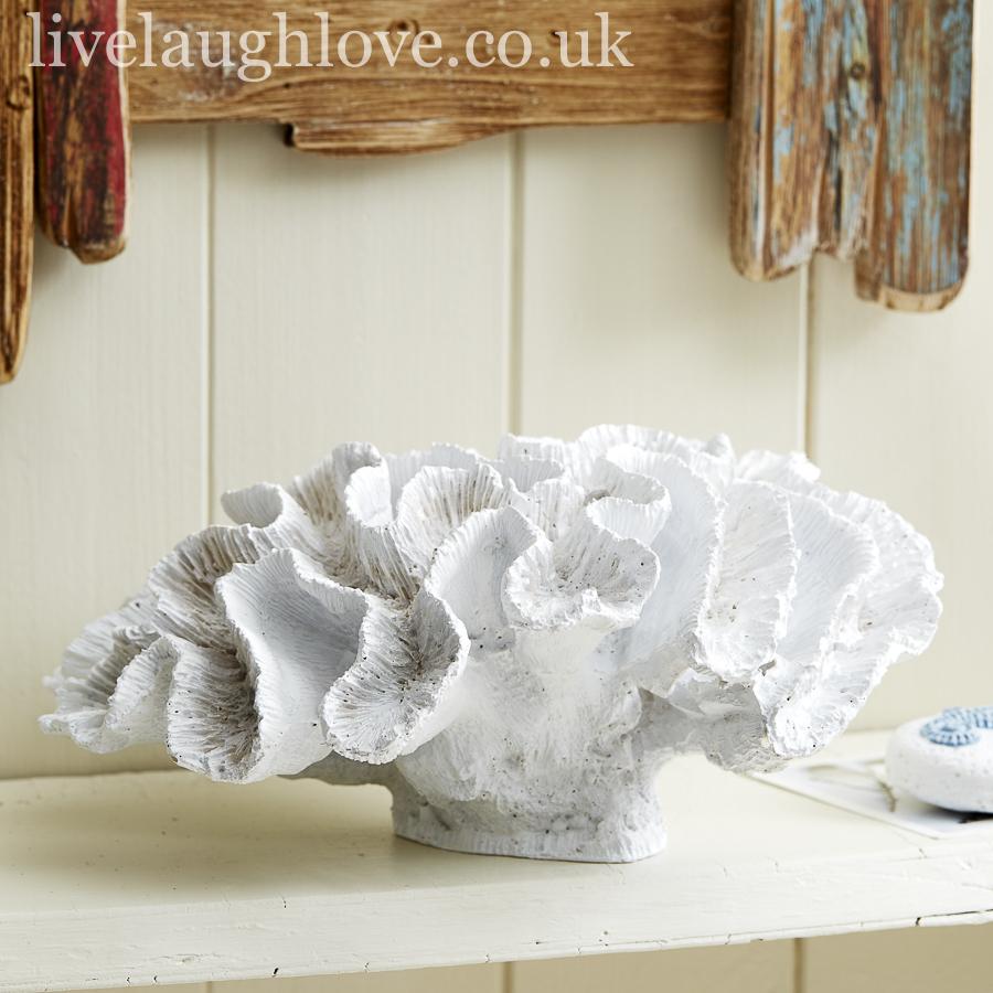 Large Painted Resin Cat's Paw Coral - LIVE LAUGH LOVE LIMITED