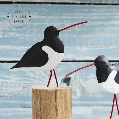 Pair of Oyster Catchers - LIVE LAUGH LOVE LIMITED