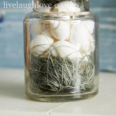 Pair Of Shell Filled Bottles - Set B - LIVE LAUGH LOVE LIMITED