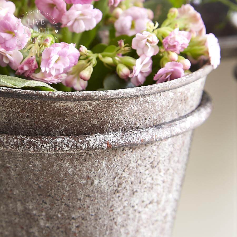 Rustic Wall Mirror With Triple Planter - LIVE LAUGH LOVE LIMITED