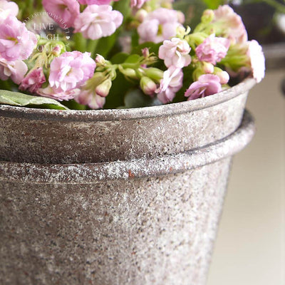 Rustic Wall Mirror With Triple Planter - LIVE LAUGH LOVE LIMITED