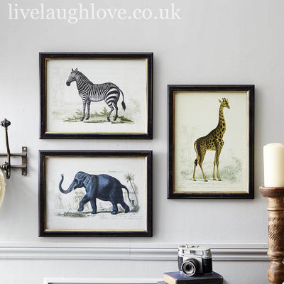 Safari Animal Prints - Set Of 3 - LIVE LAUGH LOVE LIMITED