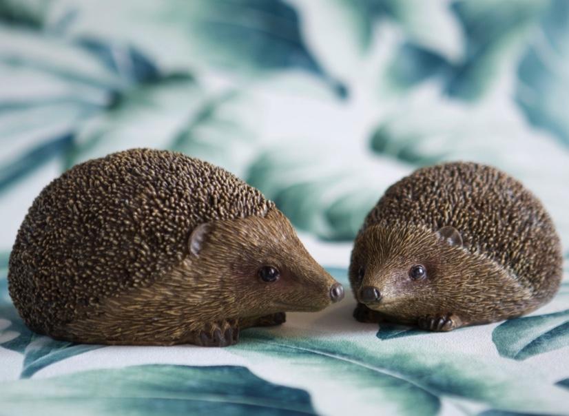 Set of 2 Hedgehogs - LIVE LAUGH LOVE LIMITED