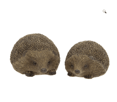 Set of 2 Hedgehogs - LIVE LAUGH LOVE LIMITED