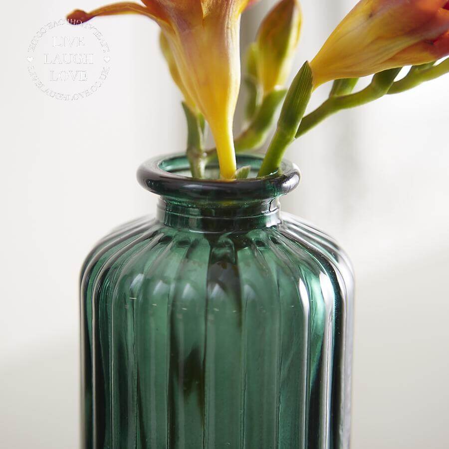 Set of 3 Assorted Glass Vases - Green - LIVE LAUGH LOVE LIMITED