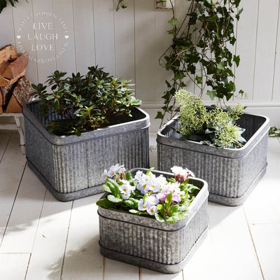 Set of 3 Galvanised Tubs - LIVE LAUGH LOVE LIMITED