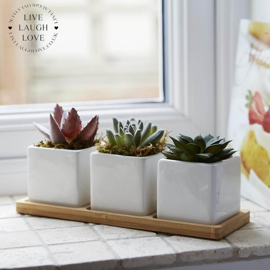 Set Of 3 Succulents In Ceramic Pots On Tray - LIVE LAUGH LOVE LIMITED