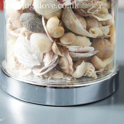 Shell Filled Glass Lamp W/ White Shade - LIVE LAUGH LOVE LIMITED