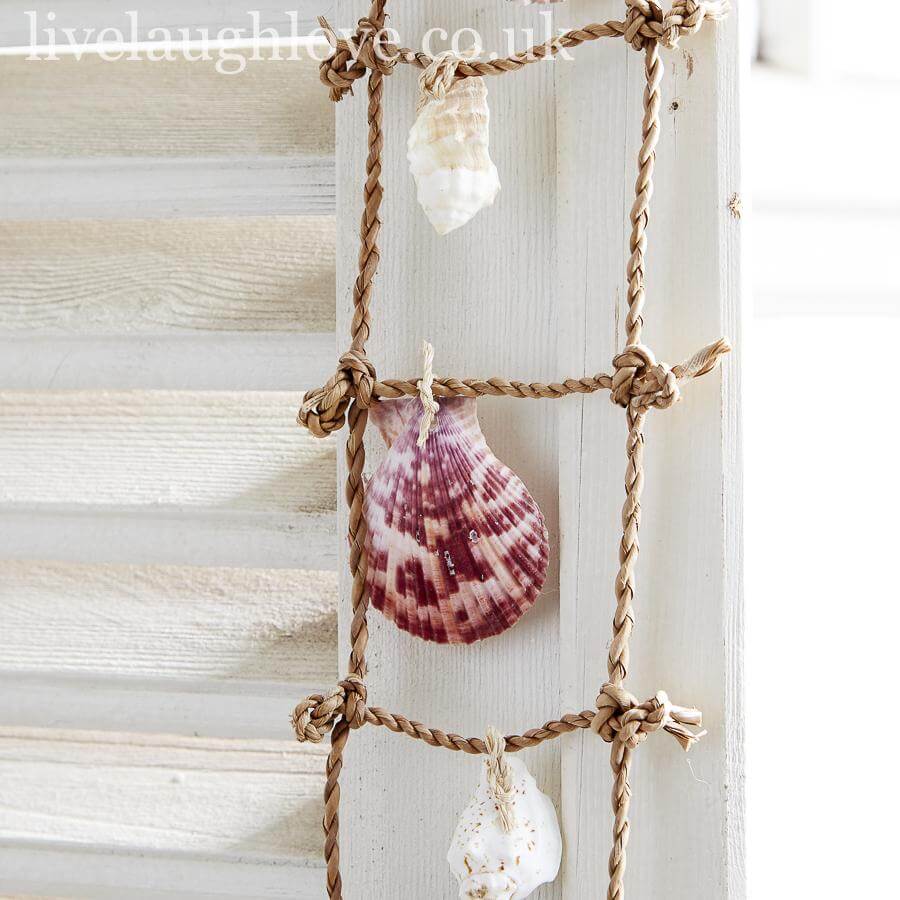 Shell Ladder | Live Laugh Love. – LIVE LAUGH LOVE LIMITED