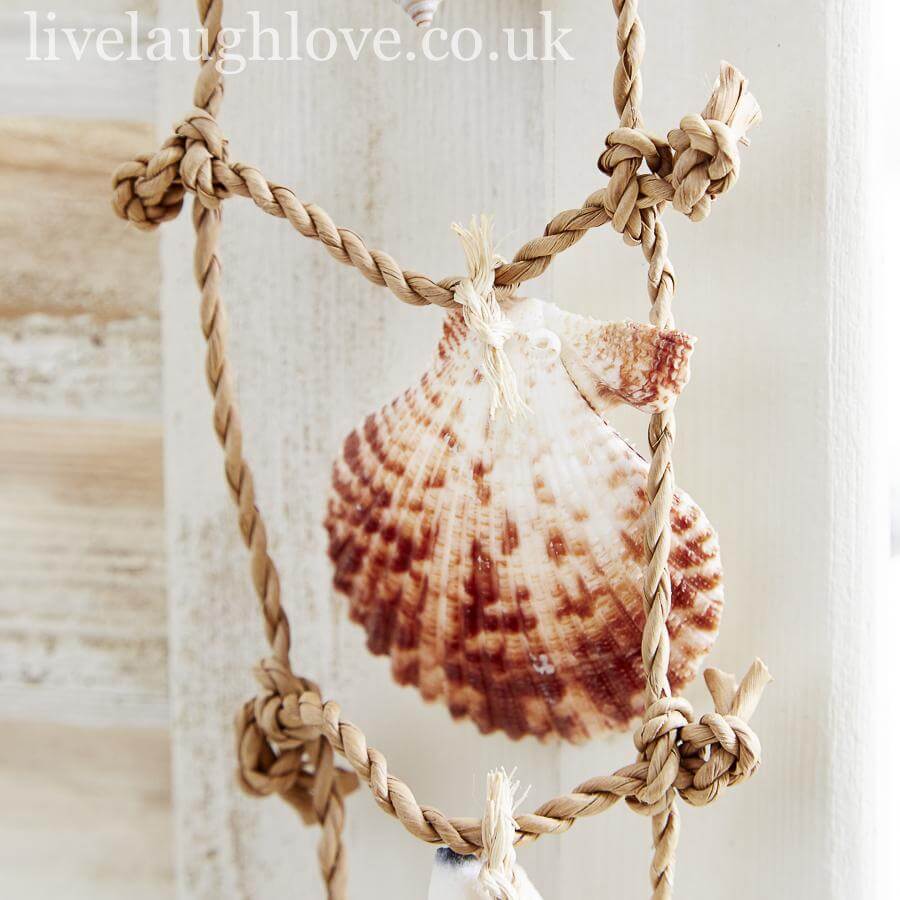 Shell Ladder | Live Laugh Love. – LIVE LAUGH LOVE LIMITED