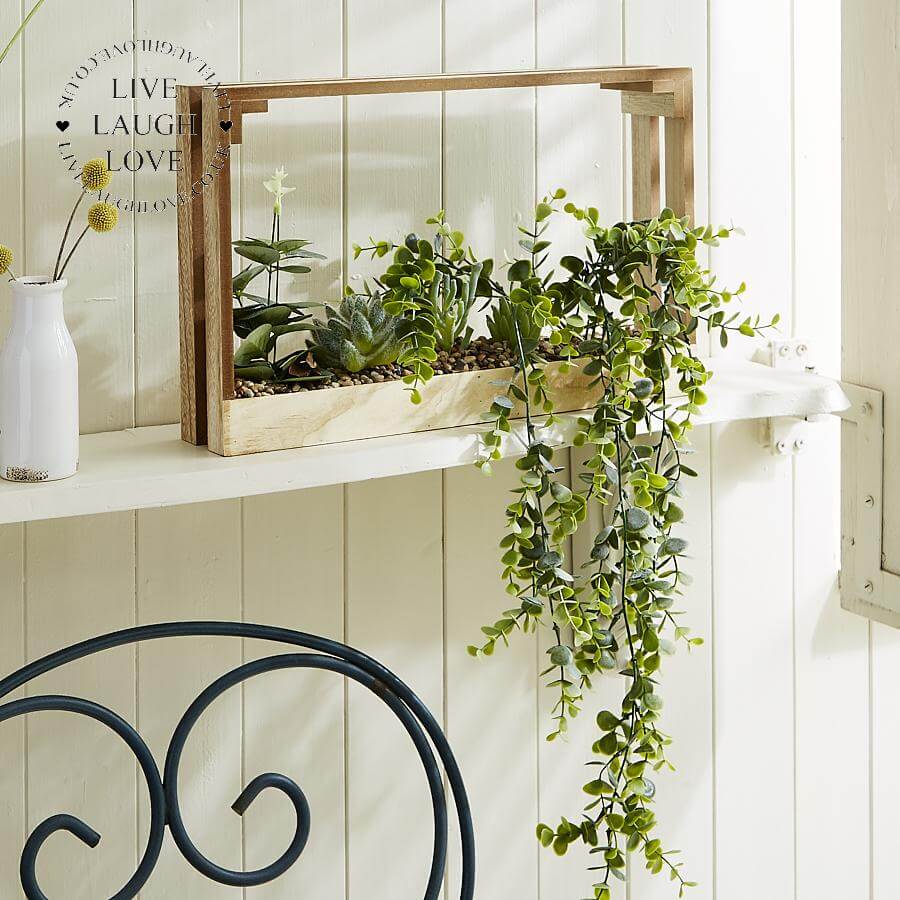 Succulent Crate - LIVE LAUGH LOVE LIMITED