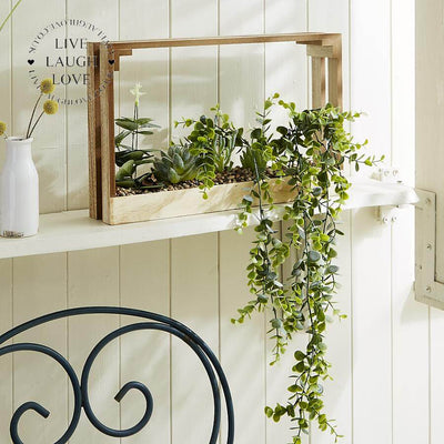 Succulent Crate - LIVE LAUGH LOVE LIMITED