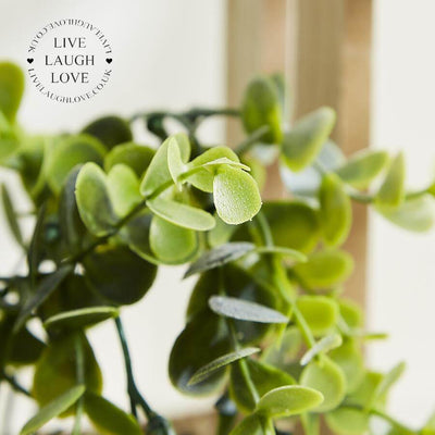 Succulent Crate - LIVE LAUGH LOVE LIMITED