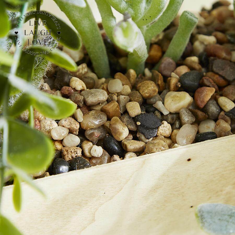Succulent Crate - LIVE LAUGH LOVE LIMITED