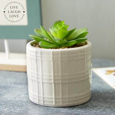 Succulent In Decorative Ceramic Pot - LIVE LAUGH LOVE LIMITED