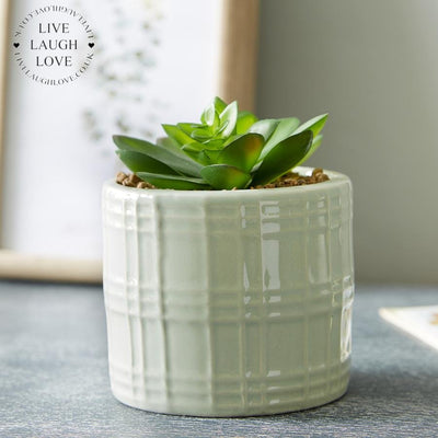 Succulent In Decorative Ceramic Pot - LIVE LAUGH LOVE LIMITED