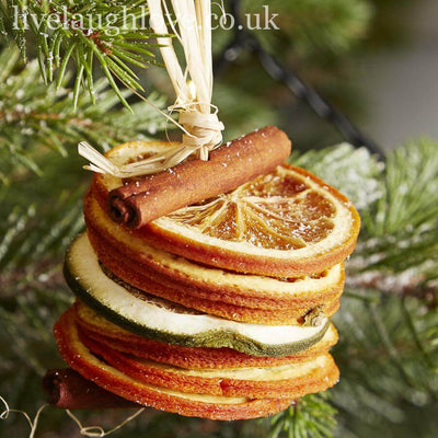 Tree Decoration - Orange Slices - LIVE LAUGH LOVE LIMITED