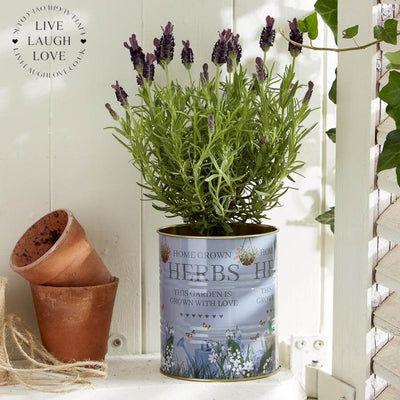 Vintage Country Style Storage Tin - Home Grown Herbs - LIVE LAUGH LOVE LIMITED